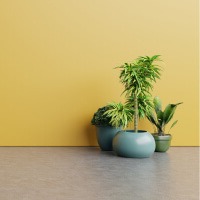 Blog post